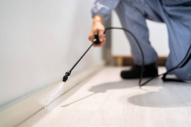 Licensed Mosquito Control service in China Spring, TX - Show Me Pest Control