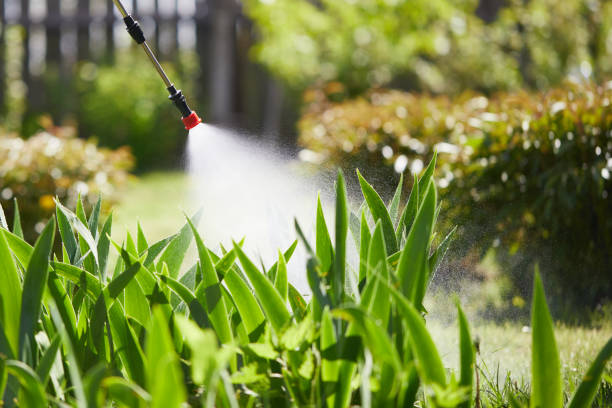 24/7 Emergency Mosquito Control experts in China Spring, TX