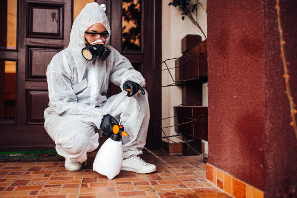 Reliable Mosquito Control contractor in China Spring, TX by Show Me Pest Control