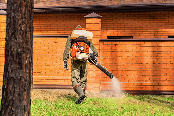 Top rated local Mosquito Control specialists in China Spring, TX